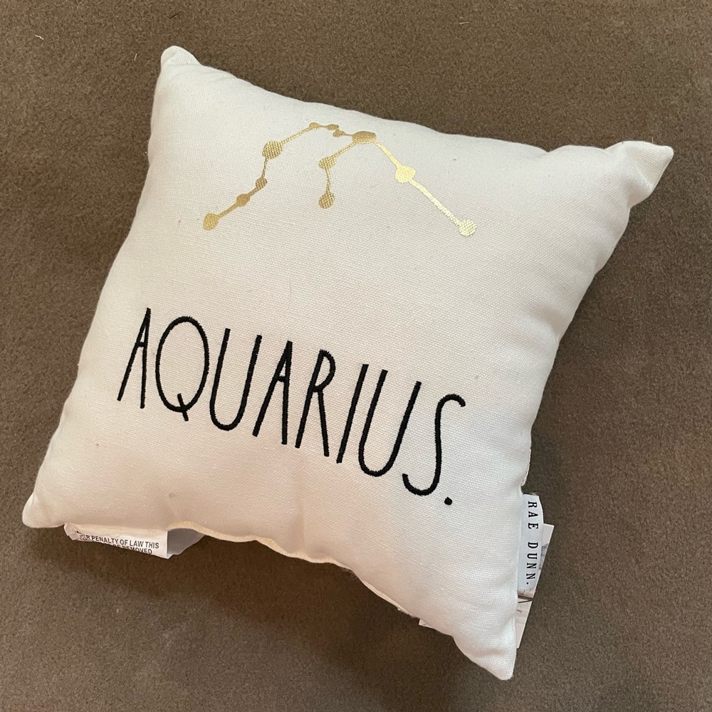 Aquarius zodiac pillow